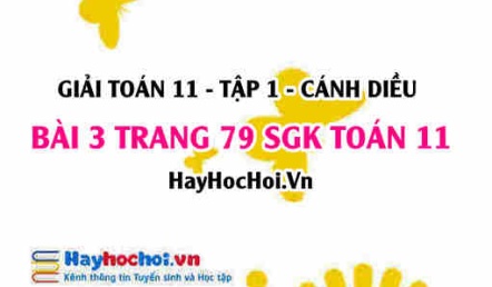 Giải bài 3 trang 79 Toán 11 tập 1 SGK Cánh Diều